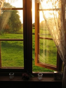 sun-windowsill